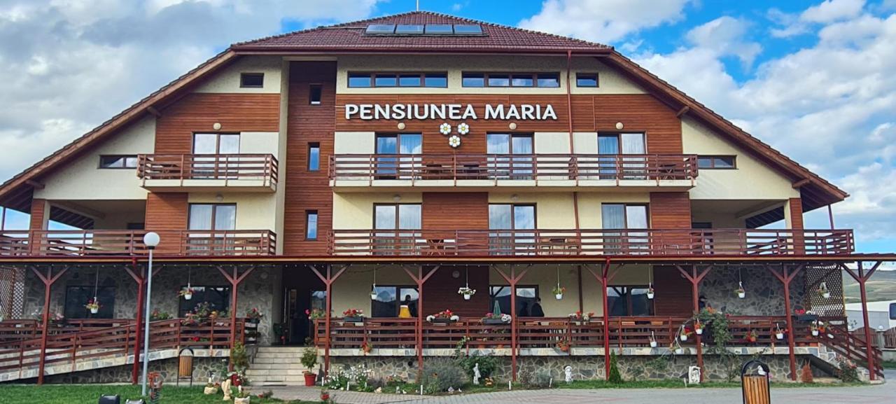 Pensiunea Maria Gilău Exterior photo